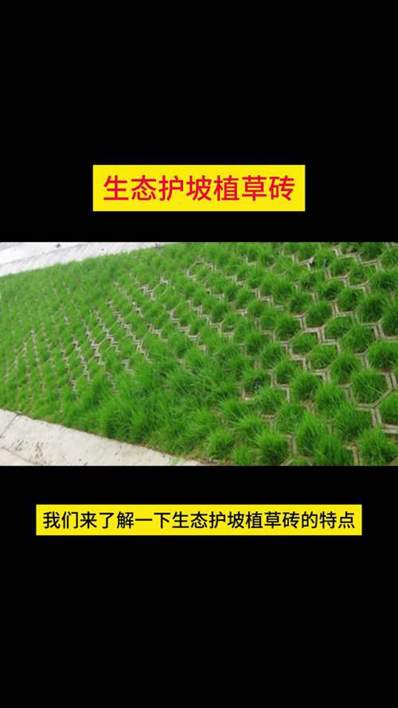 透水混凝土：城市规划的新思路